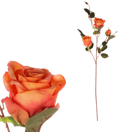 Růže, 3-květá, barva oranžová. KN7058 OR