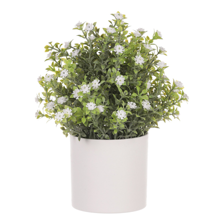 Tráva kvetoucí v plastovém bílém obalu, barva bílá. SG7333 WT