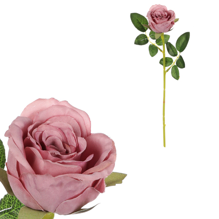 Růže, fialová barva. KN7049 PUR