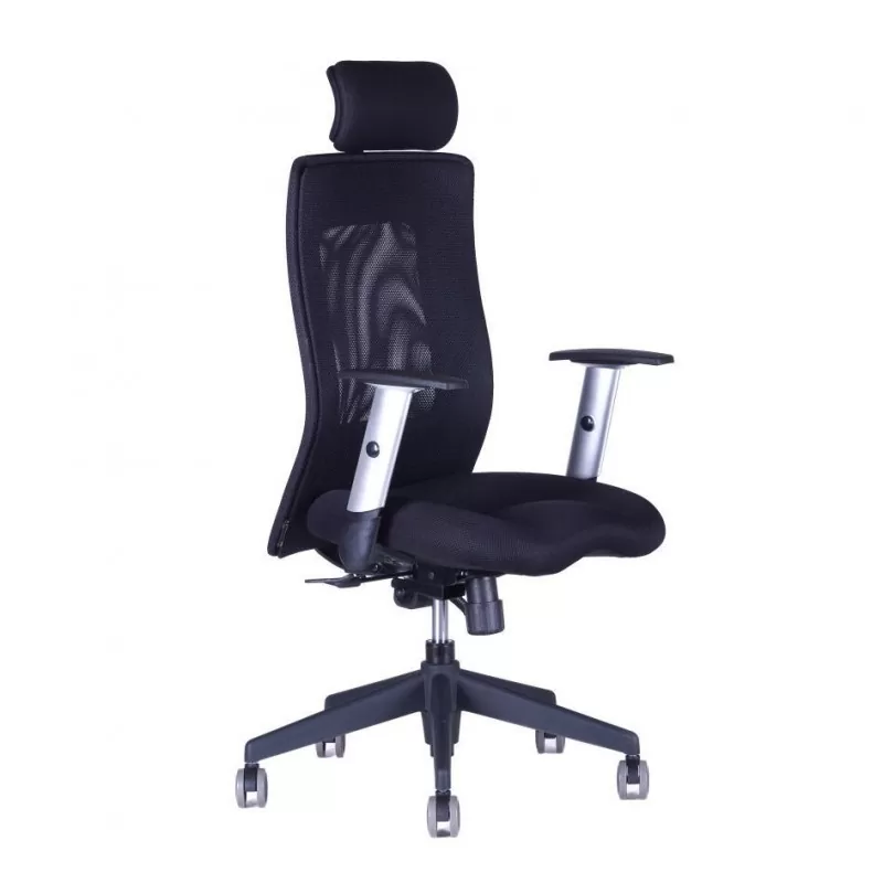 OfficePro Kancelářská židle CALYPSO XL SP1, černá