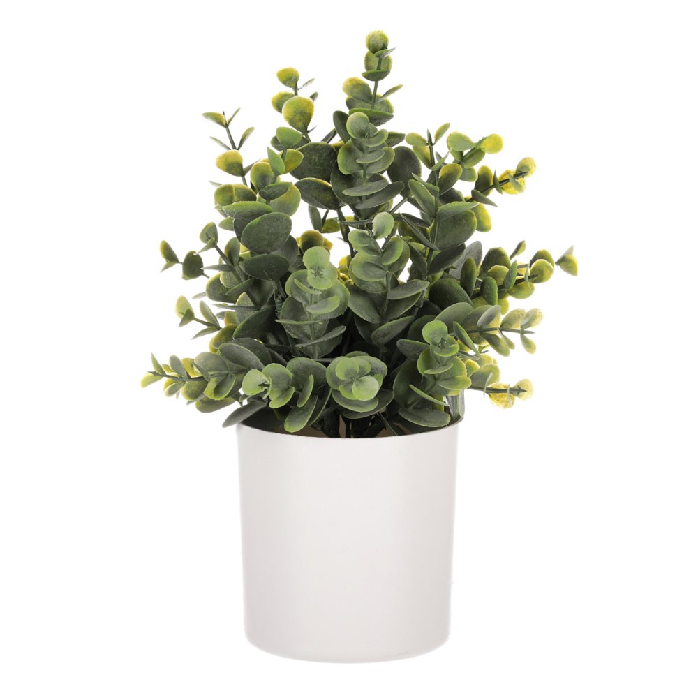 Buxus v bílém plastovém obalu - umělý, zelená barva. SG7331