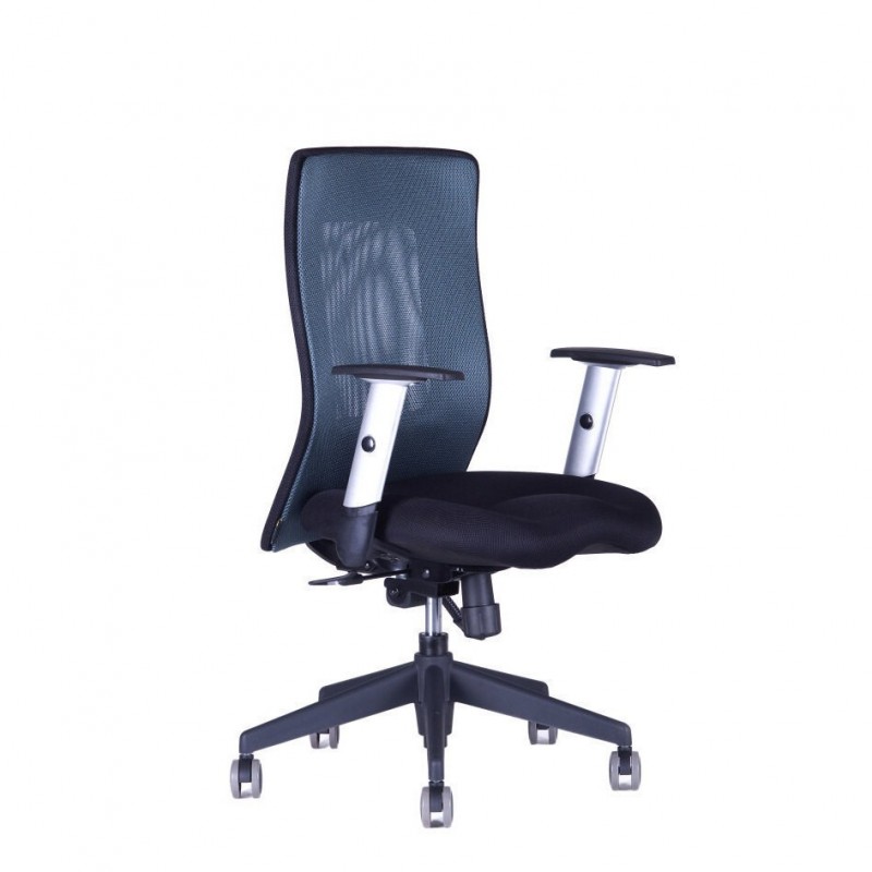 Officepro Kancelářská židle CALYPSO XL BP, antracit