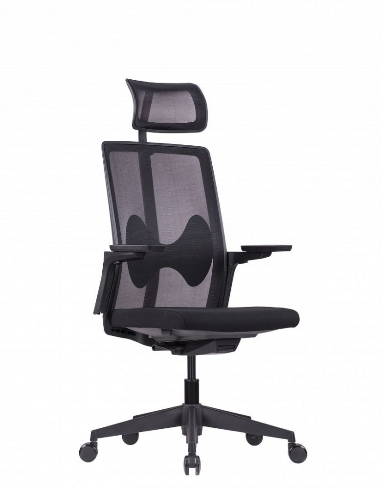 Emagra Kancelářská židle ERGOFIT černá