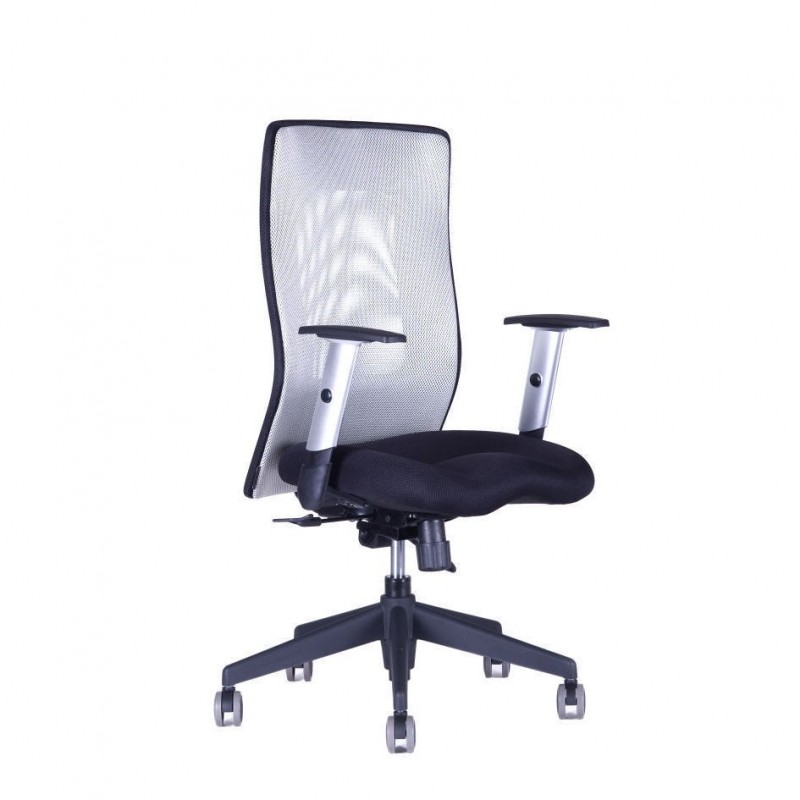 Kancelářská židle CALYPSO GRAND, šedá