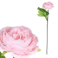 KN6160-PINK - Pivoňka - umělá řezaná, 1 květ, růžová