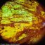 (CZ) Digitální mikroskop Levenhuk Rainbow D50L PLUS 2M, Moonstone