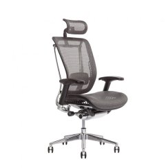 OfficePro Kancelářská židle LACERTA, antracit
