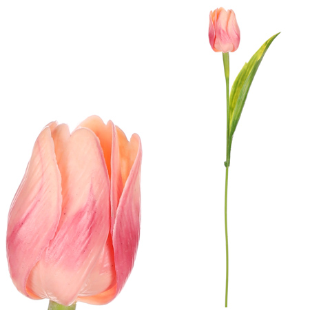 Tulipán plastový v meruňkové barvě. Cena za 1ks. Ve svazku 12ks. SG60104 APPR