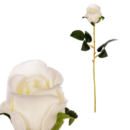 Růže pěnová, barva bílá. KN7048 WT
