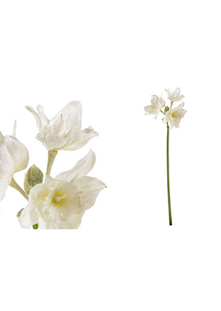 Amarylis - umělá květina, barva bílá, se třpytkami. UKK260-WH
