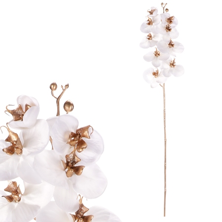 Orchidej, barva bílá. KUC2604 WT