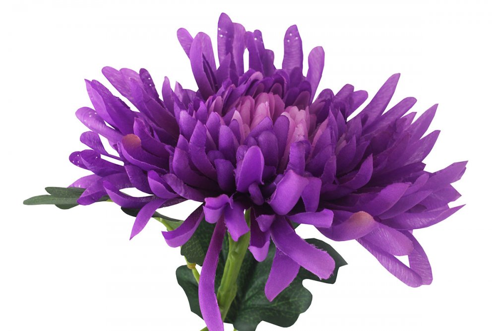 Chryzantéma , barva fialová. Květina umělá. VK-1249