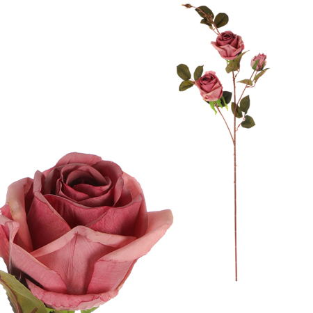 Růže, 3-květá, barva fialová. KN7058 PUR
