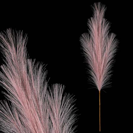Pampas tráva, světle fialová barva. KUM3434 PU-LT