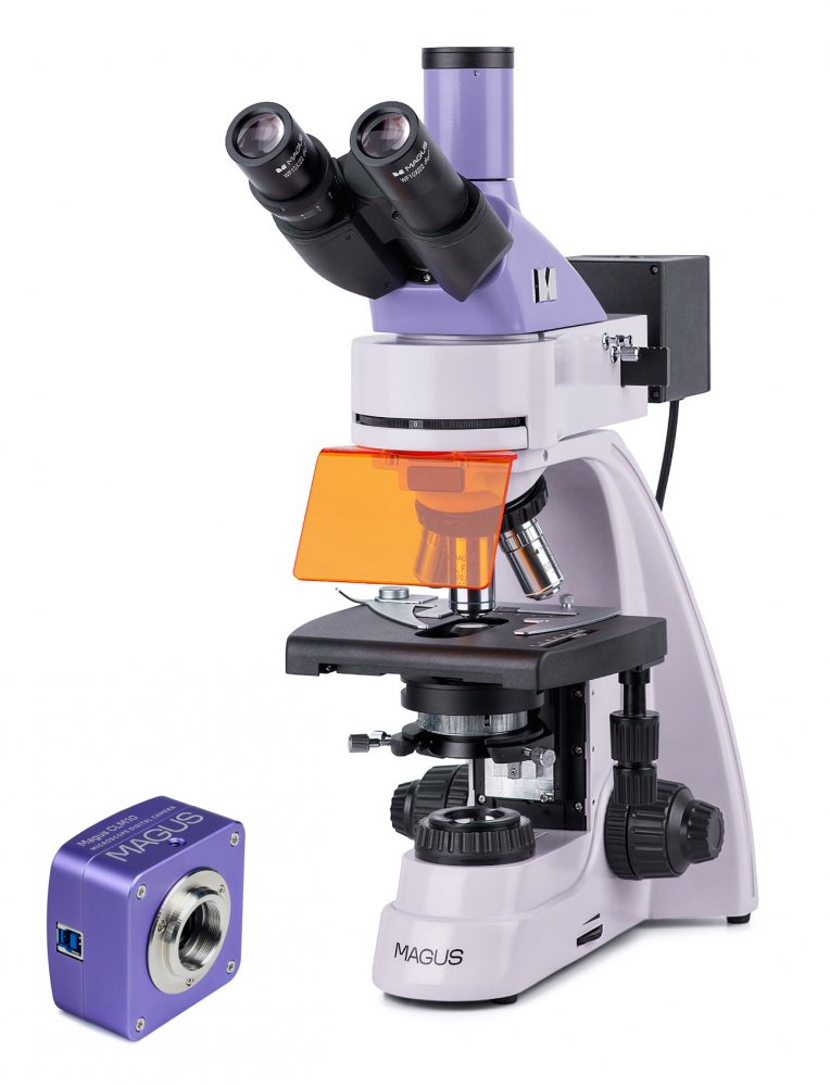 Fluorescenční digitální mikroskop MAGUS Lum D400L