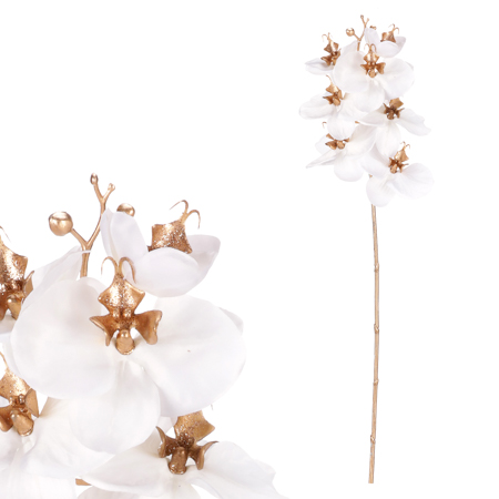 Orchidej, barva bílá. KUC2603 WT