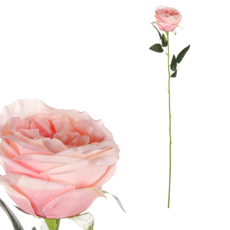 Růže, barva světle růžová. KN7057 PINK-LT