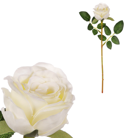 Růže, bílá barva. KN7049 WT