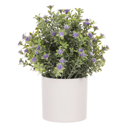 Tráva kvetoucí v plastovém bílém obalu, barva fialová. SG7333 PUR