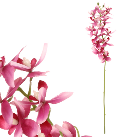 Orchidea drobnokvětá, fialová barva. UKK313-LILA