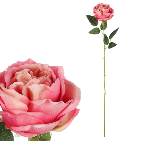 Růže, barva tmavě růžová. KN7057 PINK-DK