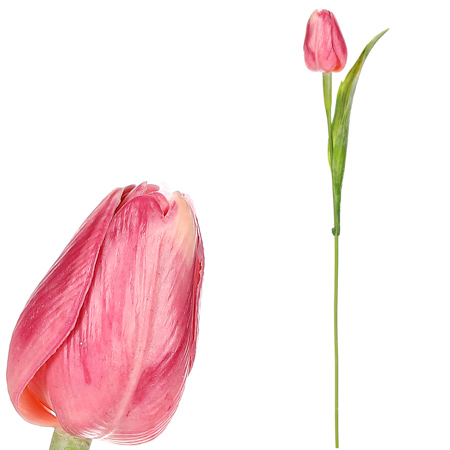 Tulipán plastový v růžové barvě. Cena za 1ks. Ve svazku 12ks. SG60104 PINK