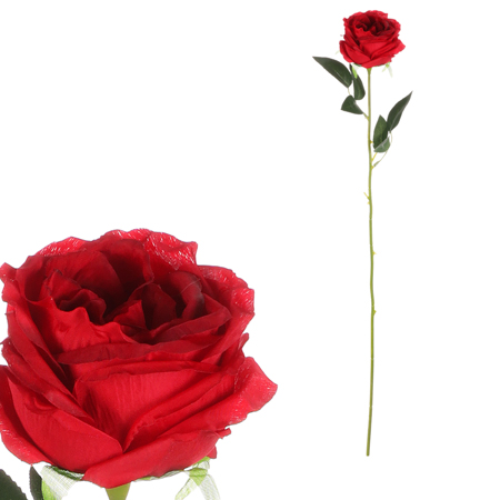 Růže, barva červená. KN7057 RED