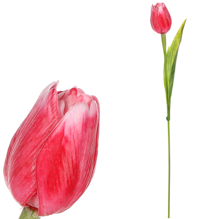 Tulipán plastový v červené barvě. Cena za 1ks. Ve svazku 12ks. SG60104 RED