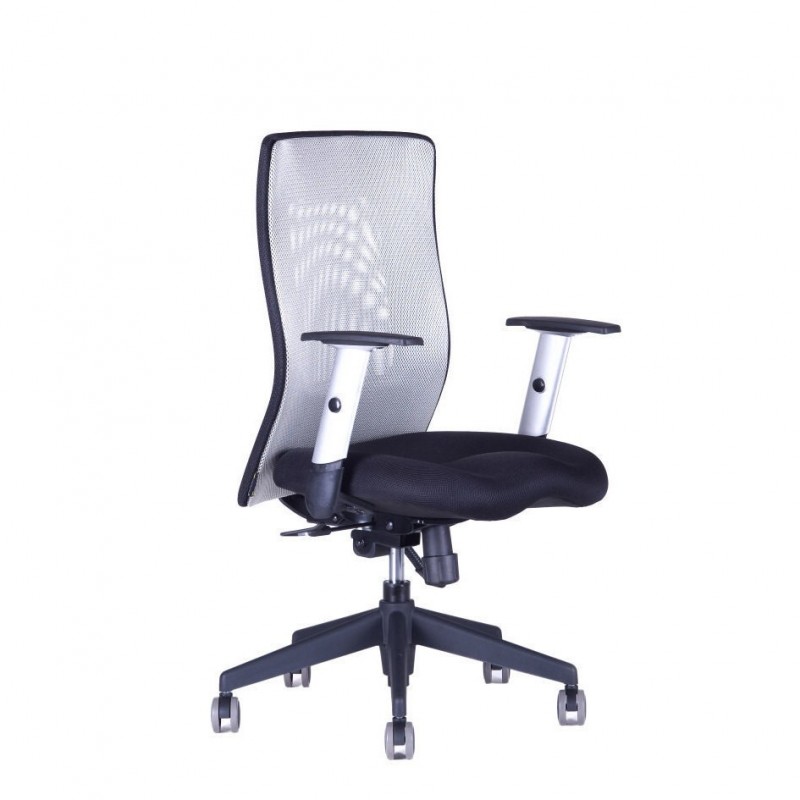 Officepro Kancelářská židle CALYPSO XL BP, šedá