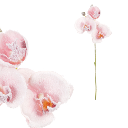 Orchidej, barva růžová. KUC2606 PINK