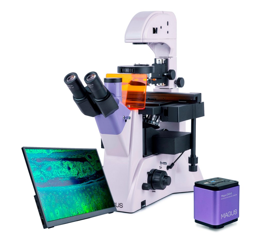 Fluorescenční inverzní digitální mikroskop MAGUS Lum VD500L LCD