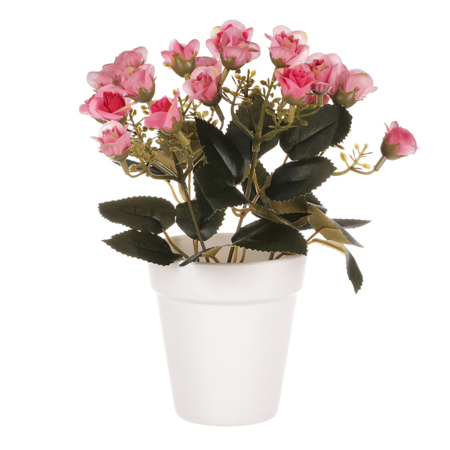 Mini růžičky v plastovém bílém obalu, barva růžová. SG7334 PINK