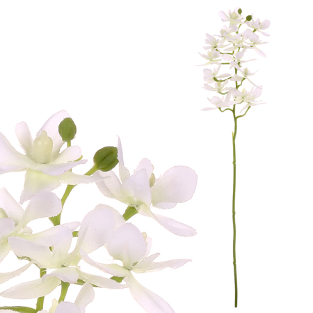 Orchidea drobnokvětá, bílá barva. UKK313-WH