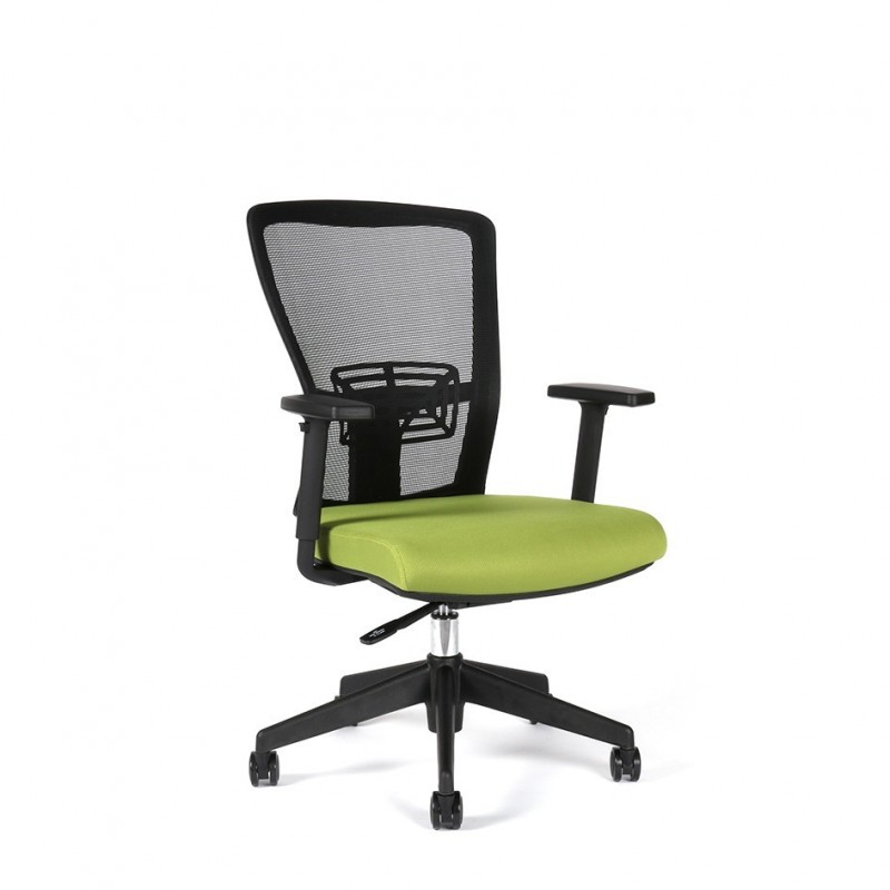 Kancelářská židle THEMIS BP, zelená