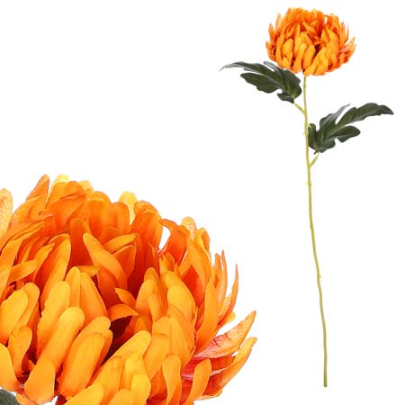 Chryzantéma, barva oranžová. KN6157 OR
