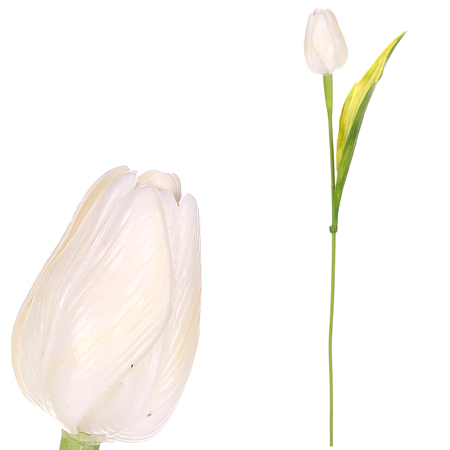 Tulipán plastový v krémové barvě. Cena za 1ks. Ve svazku 12ks. SG60104 WT
