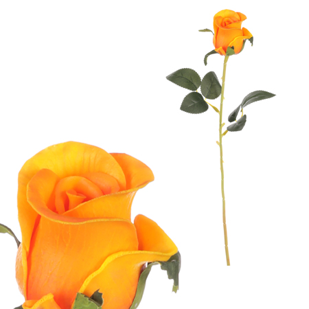 Růže pěnová, barva oranžová. KN7048 YEL-OR