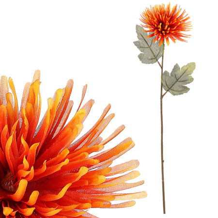 Chryzantéma, oranžová barva. NL0144 OR