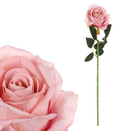 Růže, barva světle růžová, samet. KN6123 PINK-LT