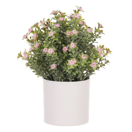 Tráva kvetoucí v plastovém bílém obalu, barva růžová. SG7333 PINK